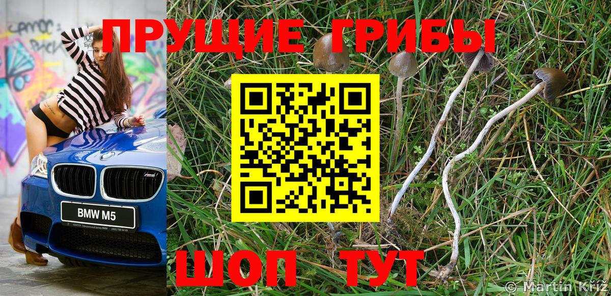 Галлюциногенные грибы Magic Shrooms  Вход с VPN  Брянск 